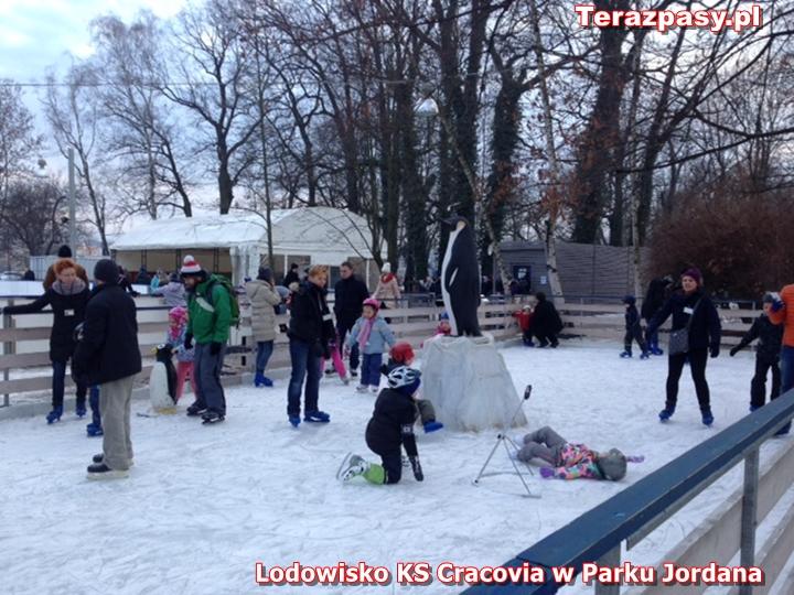 lodowisko-ks-cracovia7