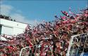 2004-06-19-Cracovia-Polkowice-4-0951
