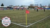 dolcan-zabki-stadion