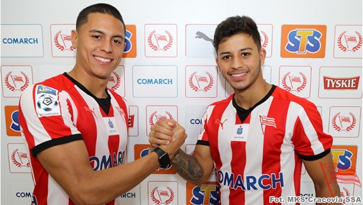 Ferreira-Santos-2018-mks