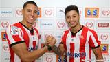 Ferreira-Santos-2018-mks