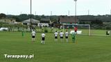 karpaty-gol-2014-07-24