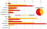 s06-jagiellonia