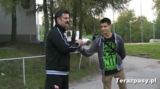 stawowy-kapustka-2012